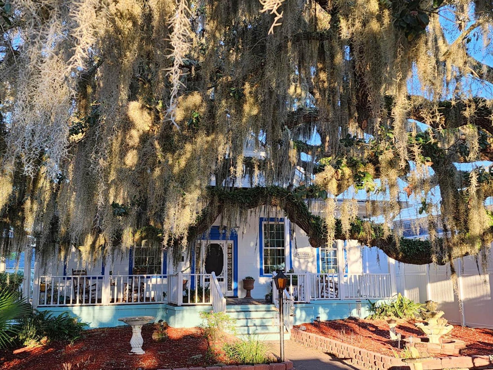 Tybee Island Inn Bed & Breakfast מראה חיצוני תמונה